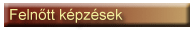 Felnőtt képzések